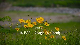 HAUSER  Adagio Albinoni  2021 [upl. by Abramson981]