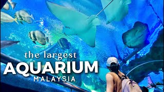 Aquaria KLCC Kuala Lumpur  The Best Aquarium in Malaysia [upl. by Mair767]