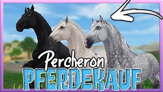 Wir KAUFEN das neue PERCHERON 🐴💙 Star Stable Pferdekauf SSO [upl. by Ventre]