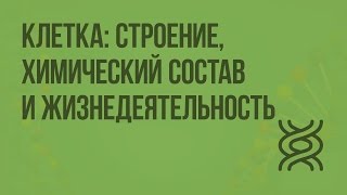 Клетка строение химический состав и жизнедеятельность Видеоурок по биологии 8 класс [upl. by Glantz]