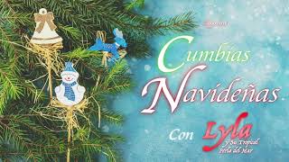 ¡CUMBIAS NAVIDEÑAS EXITOS GRANDES MIX DICIEMBRE 2020 [upl. by Adnilahs711]