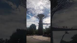 Singapore Supertree observatory [upl. by Venu]