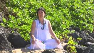 Light Transmission and Teleconference with Mirabai Devi and the Humpback Whales in Hawaii 2182013 [upl. by Bette]