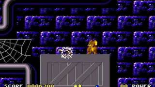 Tom amp Jerry Gameplay [upl. by Flanigan]