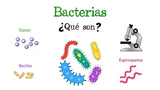 🦠 ¿Qué son las Bacterias 🦠 Fácil y Rápido  BIOLOGÍA [upl. by Eitnom87]