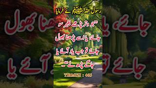 Vitra na padhne wale suno shorts Islamic hadees namaz [upl. by Lunnete853]