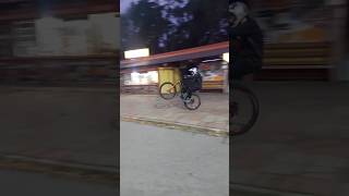 BikenKing и трюкомбо mtb freestyle [upl. by Huai]