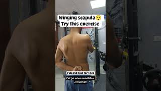 winging scapula Exercise short [upl. by Etnauj]