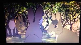 Watership down 1978 clip 6 bigwig meets general woundwort [upl. by Elyak727]