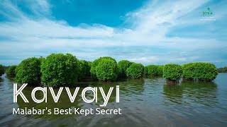 Discover the beauty of Kavvayi Backwater  Kayaking amp Backwater Tourism Kannur [upl. by Peyter]