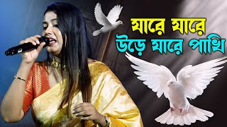 অসাধারণ একটি গান লাস্ট পর্যন্ত দেখুন অবশ্যই ভালো লাগবে  Ja Re Jare Ure Jare Pakhi  By  Sulogna [upl. by Nance]