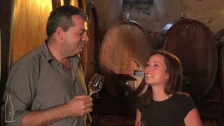 Cave Gérard Raymond Saillon VS  SWISS WINE SELECTION [upl. by Skardol389]