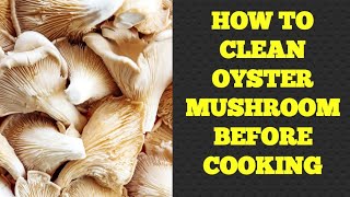 How to Clean Oyster Mushroom Before Cooking [upl. by Oisor]