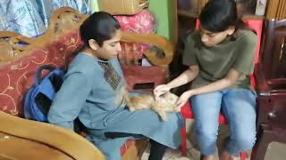 Dr Sagirs Pet Clinic  ডাঃ সাগীরস পেট ক্লিনিক ঢাকা II Dr Sagirs Pet Clinic 01912251312 [upl. by Gadmon]