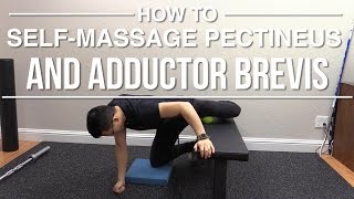 How to selfmassage pectineus and adductor brevis [upl. by Silloc]