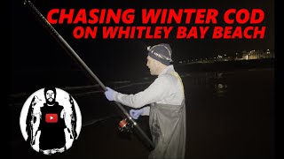 Chasing winter cod on Whitley Bay beach [upl. by Perice]