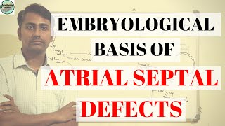 EMBRYOLOGICAL BASIS OF ATRIAL SEPTAL DEFECT II ASD II DEVELOPMENT OF INTERATRIAL SEPTUM [upl. by Tamarah]