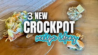 3 NEW Delicious Crockpot Recipes  Slow Cooker Recipes  Whats for Dinner  MEL COOP [upl. by Dolloff148]