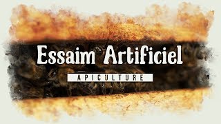 Comment faire un essaim dabeilles artificiel facilement  apiculture le TUTO [upl. by Akcir]