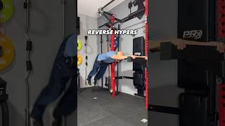 Home Gym Hacks With Surplus Strength Rack Mounted Leg Rollers [upl. by Richart]