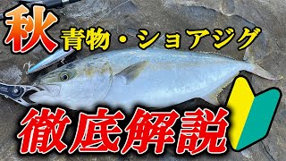 【知らないのはNG】秋のショアジギング・青物狙いで釣果を確実にするための要点や基礎基本 [upl. by Ignaz]