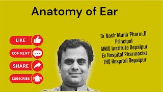 Anatomy of Ear Hearing [upl. by Morganstein881]