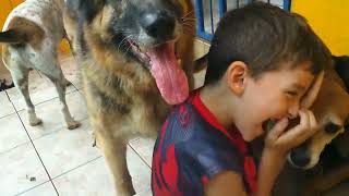 Costa Rica Vlog  Day 5 Asaf and the Dogs Part 1 [upl. by Jackson]