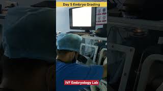 Day 5 Embryo Grading by Embryologist in IVF treatment ivf embryology day5 ivfjourney ivfsuccess [upl. by Suhsoj]