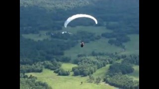 Dodo bird first flight [upl. by Lombardy]