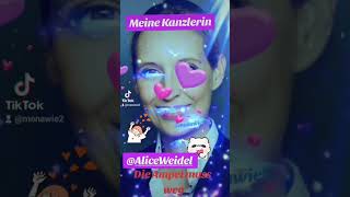 💯💯💯Alice Weidel  meine Kanzlerin💕💕💕Deine auch [upl. by Hailee]