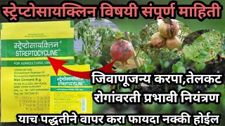 Streptocycline Fungicide स्ट्रेप्टोसाइक्लिन बुरशीनाशक streptocyclineAapliShetiAaplshivarD [upl. by Munro]