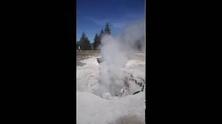 Yellowstone fumarole steam vent [upl. by Jonie]