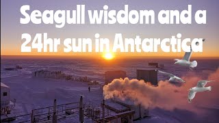 Seagull Wisdom and a 24hr sun in Antarctica [upl. by Suirtimed]