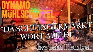 Dynamo Mühlschüttel  Da Schlingermarkt wort auf di live beim Heurigen 44 [upl. by Lewanna]