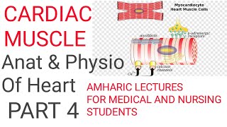 ANATOMY And PHYSIOLOGY OF HEART ❤️ PART 4 CARDIAC MUSCLEGap junctions Desmosomes [upl. by Croix]