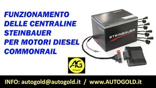 STEINBAUER funzionamento della centralina aggiuntiva per motori commonrail diesel [upl. by Euseibbob820]