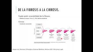 Hepatopatía crónica [upl. by Fanchie452]