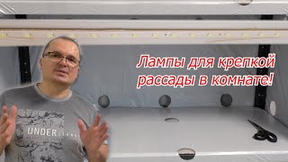 Лампы под которыми вырастает толстая и коренастая рассада [upl. by Suh]