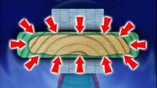 Preservative Wood Treatment Process [upl. by Haroun]