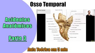 Osso Temporal  Aula Teórica  Parte 3  Anatomia Humana [upl. by Rosario]