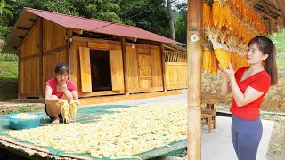 OFF GRID FARM  Harvest corn Bamboo Shoots  Plant Flowers Along The Concrete Road [upl. by Itnahsa]