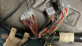 9497 Accord Rywire K series conversion harness wiring how to [upl. by Adnilra]