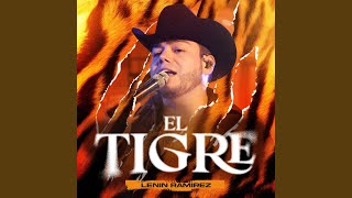 El Tigre [upl. by Gabrila814]