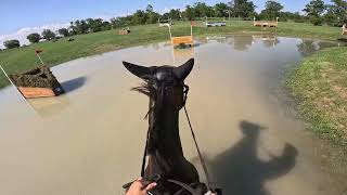 GoPro Tullymurry Fifi Intermediate Championship  2024 American Eventing Championships [upl. by Nnylsor]