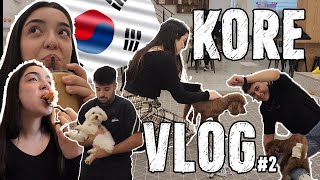 KÖPEKLERİN ÇALIŞTIĞI KAFEYE GİTTİM  Korede Bir Günüm 3 [upl. by Coniah420]