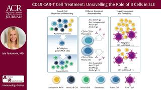 CD19 CART Cell Treatment Unravelling the Role of B Cells in SLE [upl. by Fitzger327]