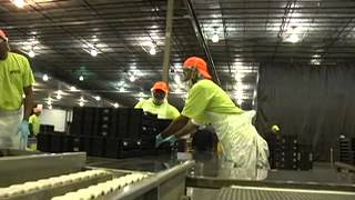 IFCOs Commitment to Food Safety [upl. by Ilhsa]