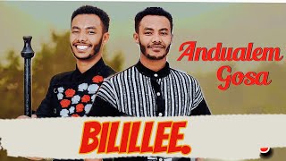 Bilillee  Andualem Gosa  New Oromo Music 2024 ayaantu oromomusic werebole oromummaa 4killo [upl. by Orvan]