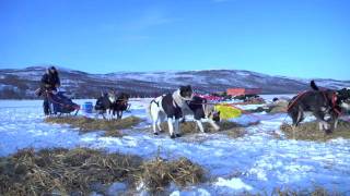 Finnmarksløpet 2010  Action fra Sirma til Karasjok [upl. by Larok]