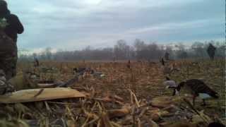 2012 Goose Hunt  Carroll County MD [upl. by Adoc761]